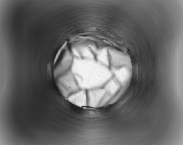 X0000088040286200706081615