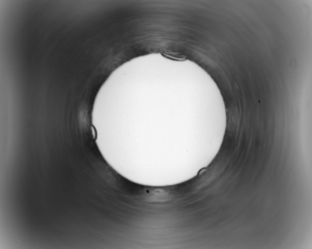 X0000088040287200706081615