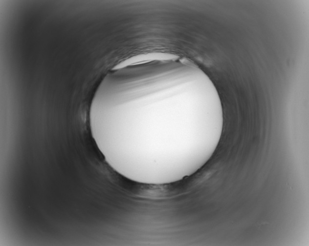 X0000088040288200706081615