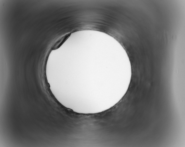 X0000088040289200706081615