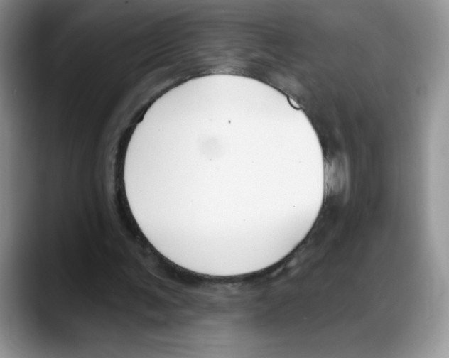 X0000088040291200706081615