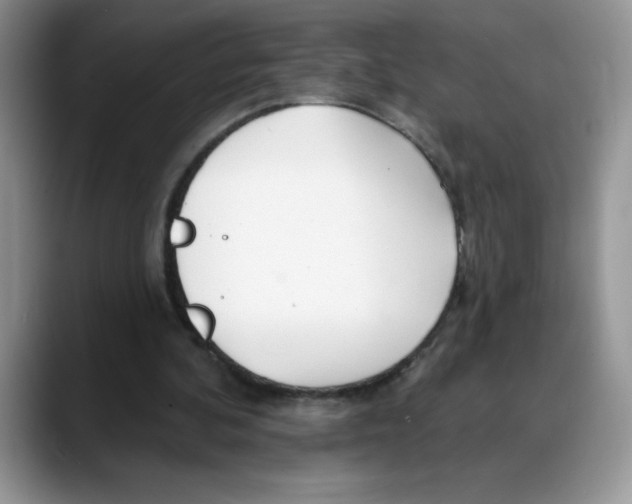 X0000088040292200706081615