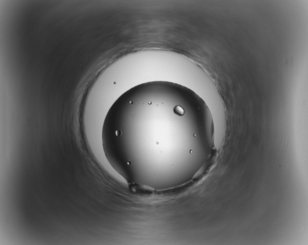 X0000088040293200706081615