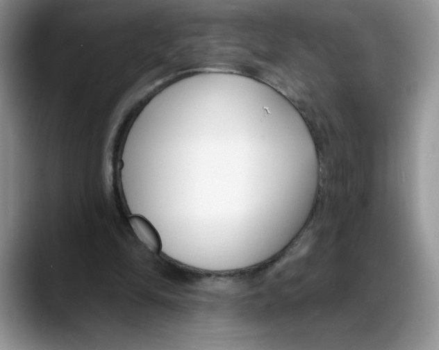 X0000088040294200706081615