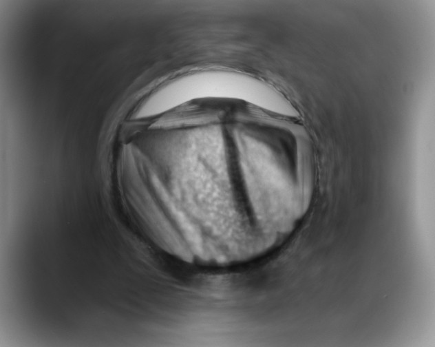 X0000088040295200706081615