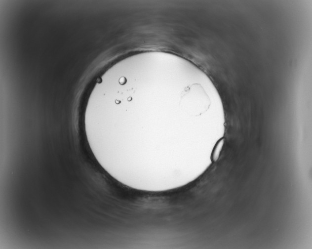 X0000088040296200706081615