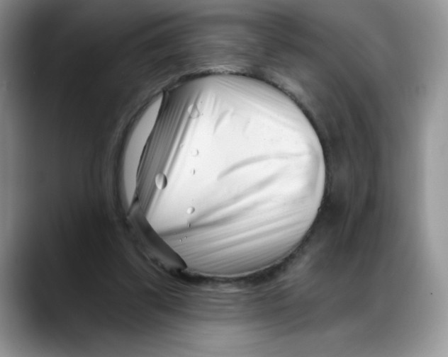 X0000088040299200706081615