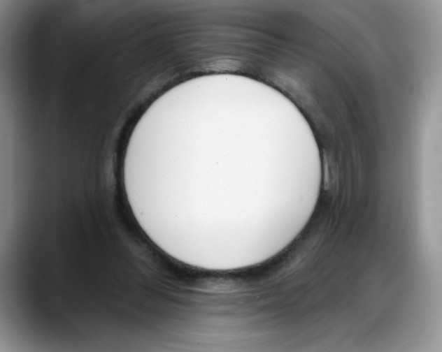 X0000088040300200706081615