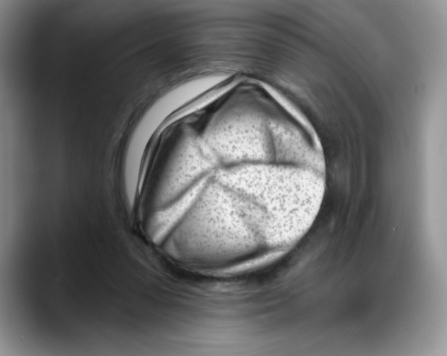 X0000088040303200706081615