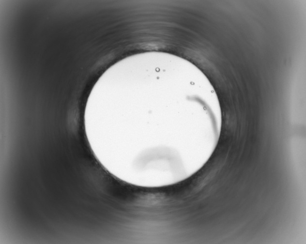 X0000088040304200706081615