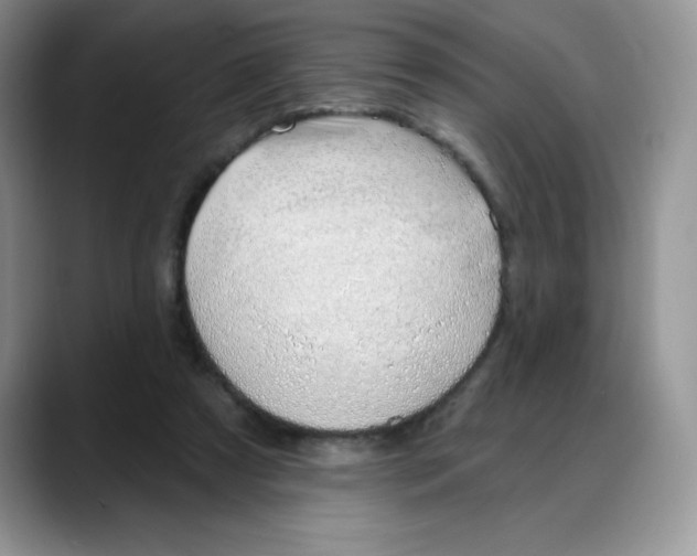 X0000088040305200706081615