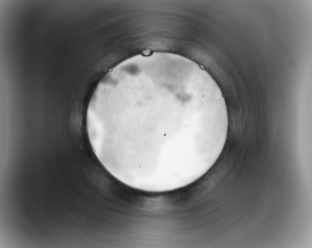 X0000088040309200706081614