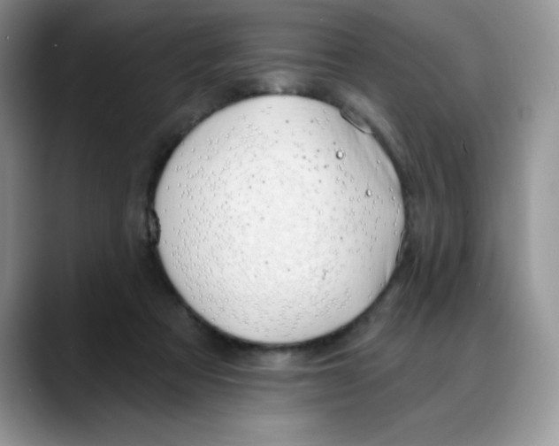 X0000088040313200706081614