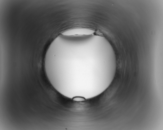 X0000088040315200706081614