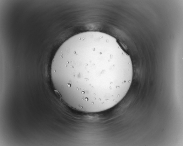 X0000088040317200706081614