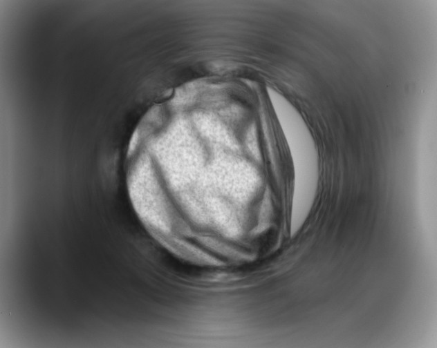 X0000088040319200706081614