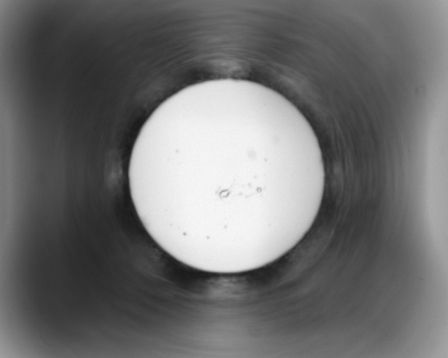 X0000088040320200706081614