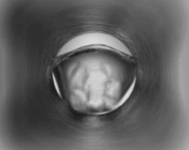 X0000088040325200706081614