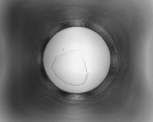 X0000088040326200706081614