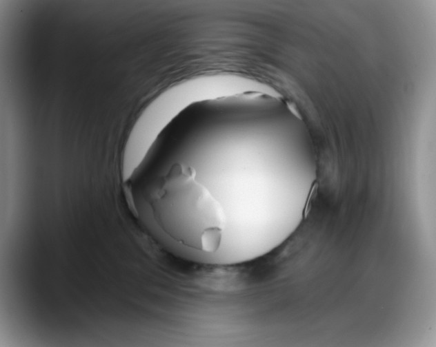 X0000088040329200706081614