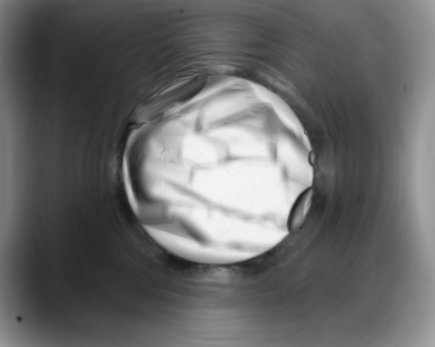 X0000088040330200706081614