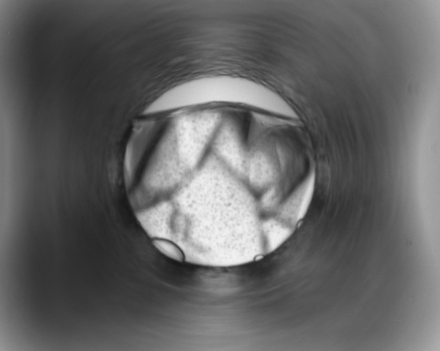 X0000088040331200706081614