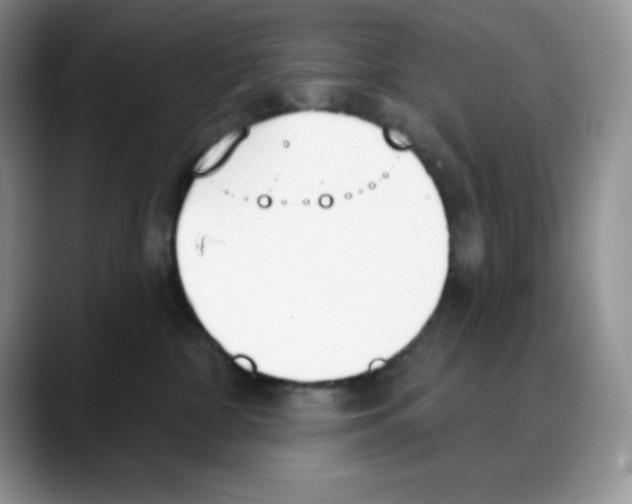 X0000088040332200706081614