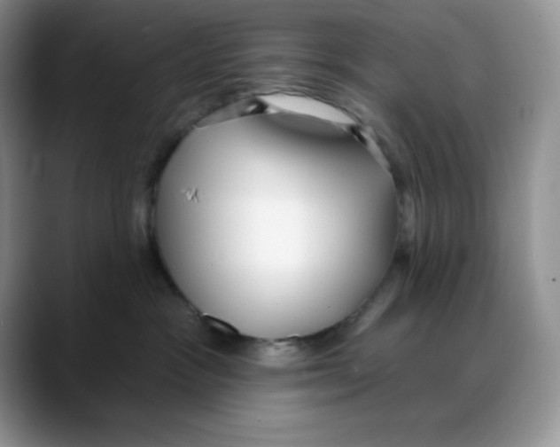 X0000088040333200706081614