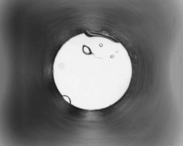 X0000088040336200706081614