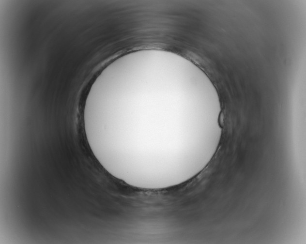 X0000088040338200706081613