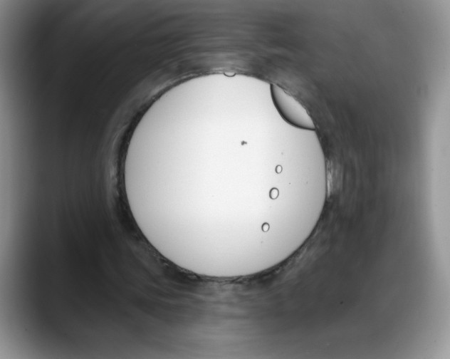 X0000088040339200706081614