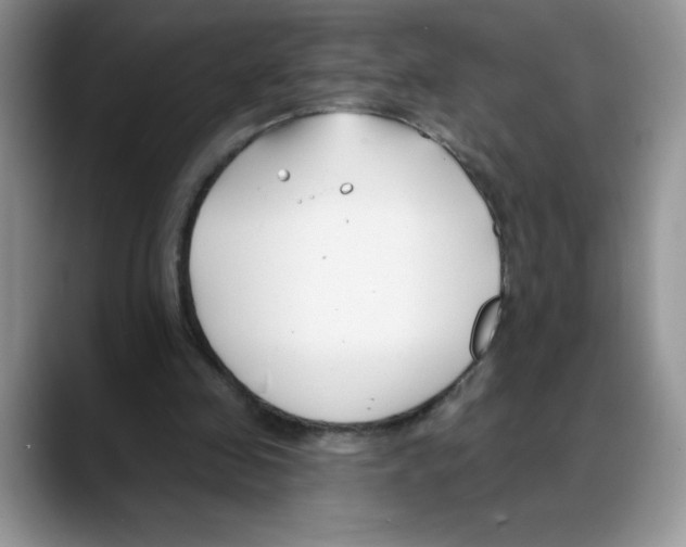 X0000088040341200706081614