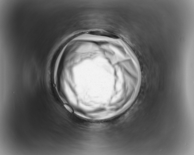 X0000088040342200706081614