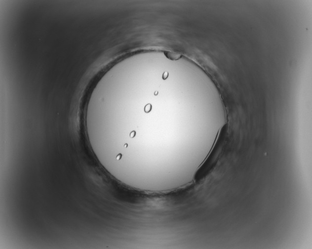 X0000088040344200706081614