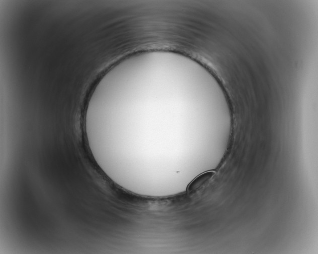 X0000088040345200706081614