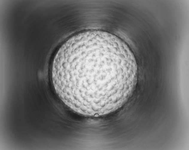 X0000088040346200706081614