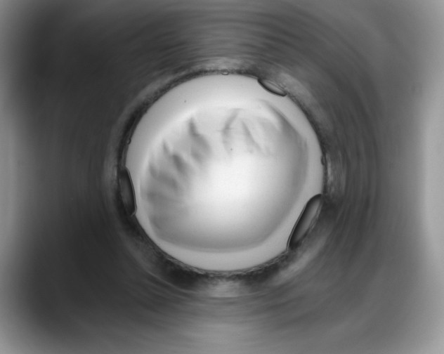 X0000088040348200706081614