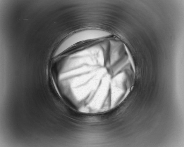 X0000088040349200706081614