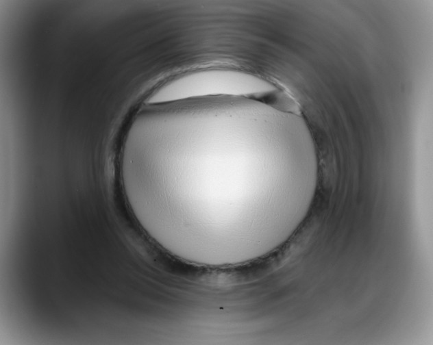 X0000088040350200706081614