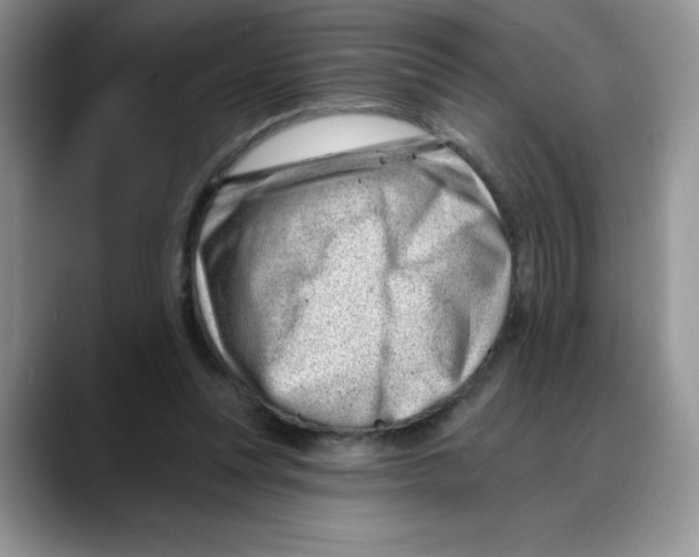 X0000088040351200706081614