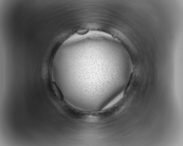 X0000088040352200706081614