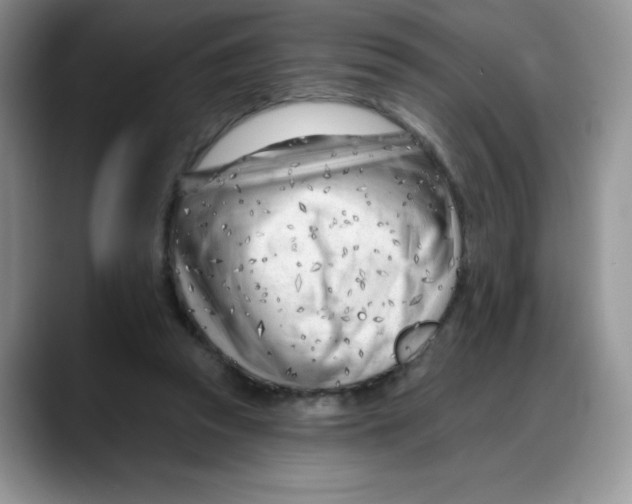X0000088040353200706081614