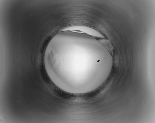 X0000088040356200706081614