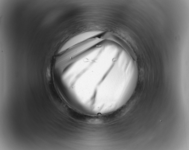 X0000088040358200706081614