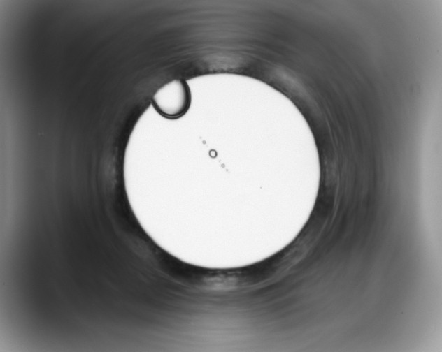 X0000088040362200706081614