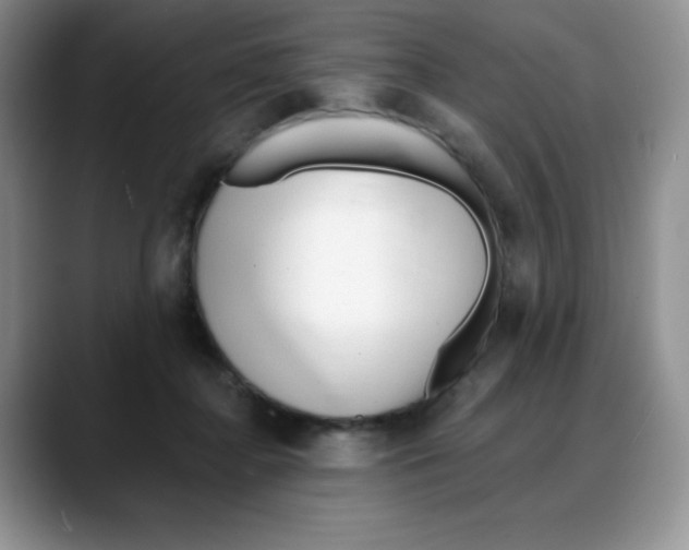 X0000088040364200706081614