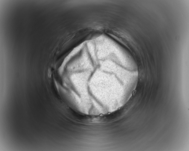 X0000088040365200706081614