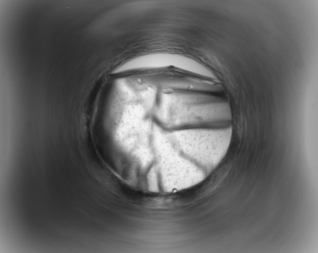 X0000088040366200706081614