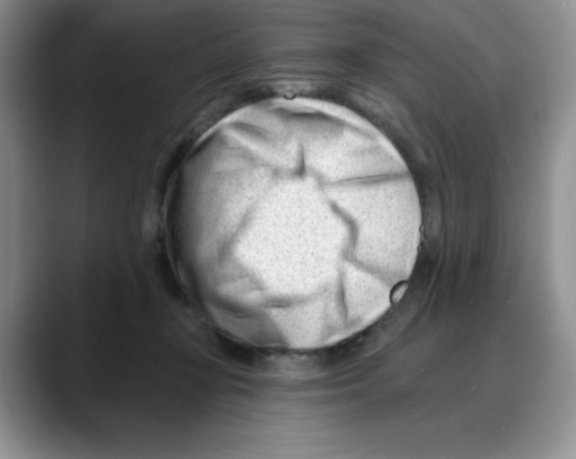 X0000088040367200706081614