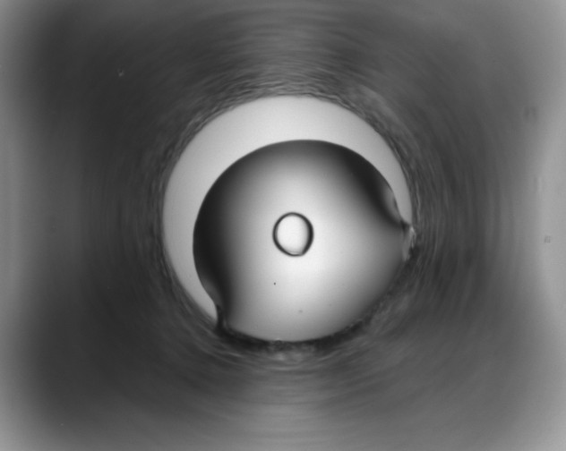 X0000088040368200706081614